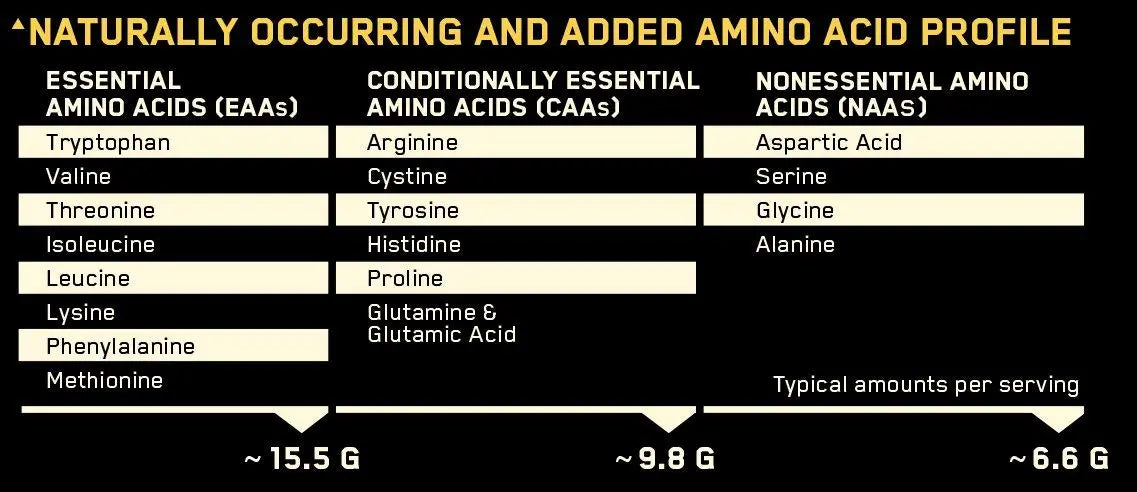 OPTIMUM NUTRITION PLATINUM HYDRO WHEY 3.5 LB TURBO CHOCOLATE - Muscle & Strength India - India's Leading Genuine Supplement Retailer