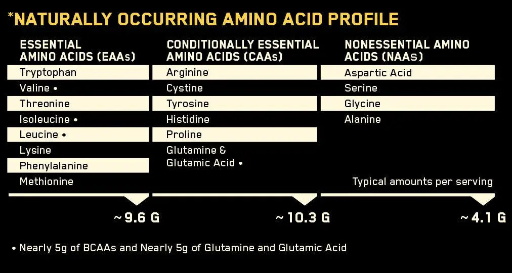 Optimum Nutrition (ON) 100% Casein Protein - 2 Lbs Chocolate pea - Muscle & Strength India - India's Leading Genuine Supplement Retailer