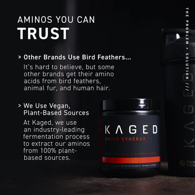 Kaged Amino Synergy - India's Leading Genuine Supplement Retailer