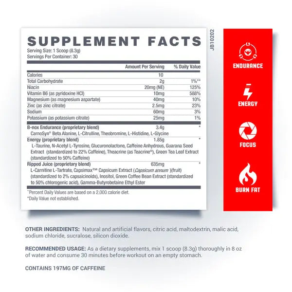 BETANCOURT B-NOX RIPPED PRE-WORKOUT THERMOGENIC ACTIVATOR | India's ...
