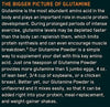 Optimum Nutrition (ON) Glutamine Powder - 300 Gm - Muscle & Strength India - India's Leading Genuine Supplement Retailer