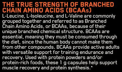 ON MEGA SIZE BCAA 1000 CAPS 400 CAPSULES - Muscle & Strength India - India's Leading Genuine Supplement Retailer