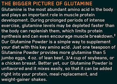 ON GLUTAMINE POWDER 150 GM - Muscle & Strength India - India's Leading Genuine Supplement Retailer