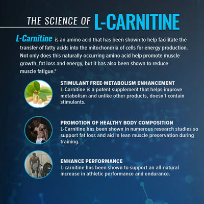 RSP L- CARNITINE LIQUID 3000 MG PEACH MANGO - Muscle & Strength India - India's Leading Genuine Supplement Retailer
