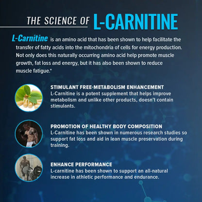 l carnitine and alpha lipoic acid benefits ala Assessing the antioxidant metabolic effect of an alpha-lipoic and acetyl-L-carnitine nutraceutical Acetyl L-Carnitine Acid Acetyl L-Carnitine Alpha Lipoic Acid