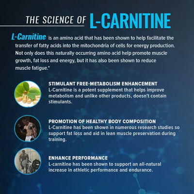 RSP L- CARNITINE LIQUID 3000 MG BERRY - Muscle & Strength India - India's Leading Genuine Supplement Retailer