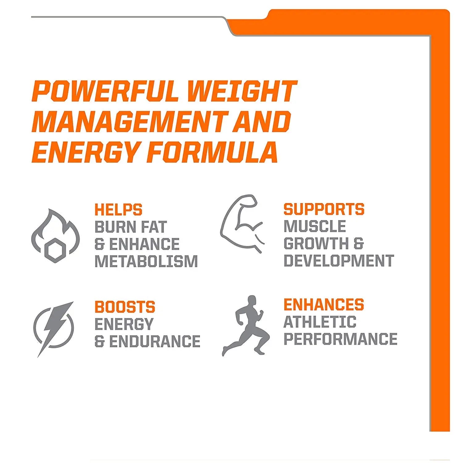 Twinlab L- Carnitine Fuel Wisted Orange - India's Leading Genuine India's Leading Genuine Supplement Retailer Twinlab L- Carnitine Fuel Wisted Orange - India's Leading Genuine India's Leading Genuine Supplement Retailer